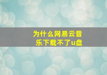 为什么网易云音乐下载不了u盘