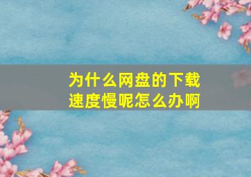 为什么网盘的下载速度慢呢怎么办啊