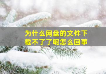 为什么网盘的文件下载不了了呢怎么回事