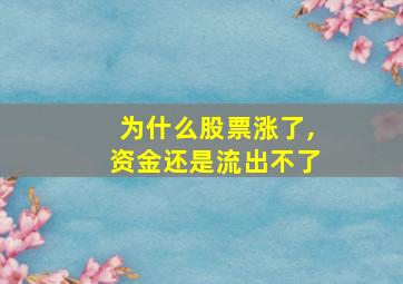 为什么股票涨了,资金还是流出不了