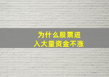 为什么股票进入大量资金不涨