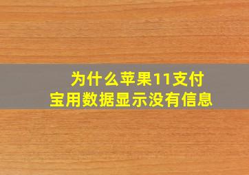 为什么苹果11支付宝用数据显示没有信息