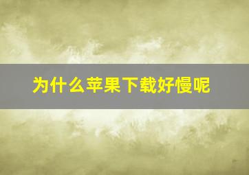 为什么苹果下载好慢呢