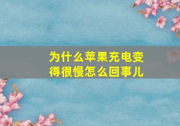 为什么苹果充电变得很慢怎么回事儿