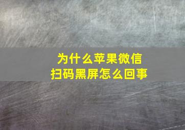 为什么苹果微信扫码黑屏怎么回事