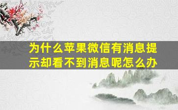 为什么苹果微信有消息提示却看不到消息呢怎么办