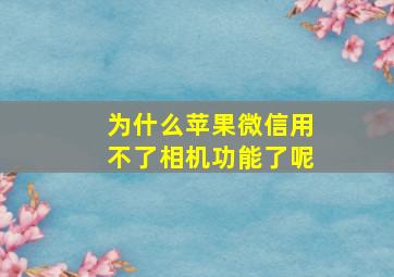 为什么苹果微信用不了相机功能了呢