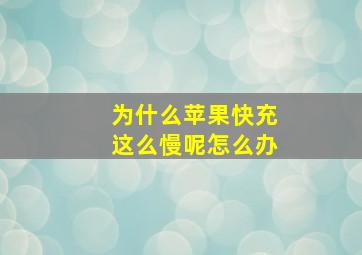 为什么苹果快充这么慢呢怎么办