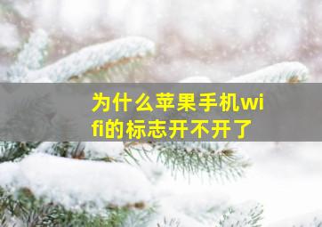 为什么苹果手机wifi的标志开不开了