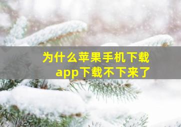 为什么苹果手机下载app下载不下来了