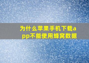 为什么苹果手机下载app不能使用蜂窝数据