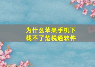 为什么苹果手机下载不了楚税通软件