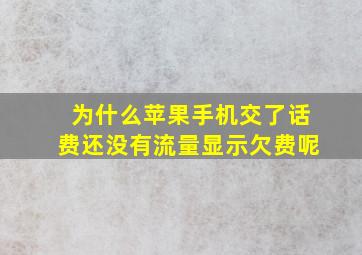 为什么苹果手机交了话费还没有流量显示欠费呢