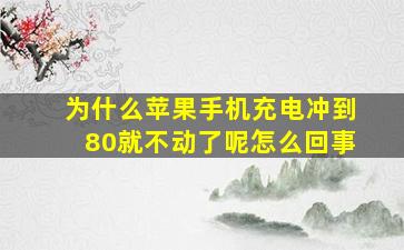 为什么苹果手机充电冲到80就不动了呢怎么回事