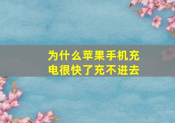 为什么苹果手机充电很快了充不进去