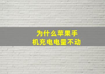 为什么苹果手机充电电量不动