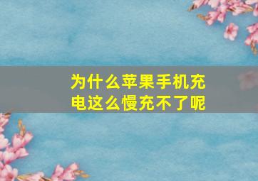 为什么苹果手机充电这么慢充不了呢