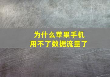 为什么苹果手机用不了数据流量了