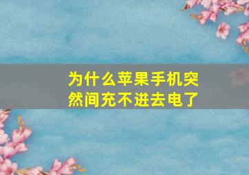 为什么苹果手机突然间充不进去电了