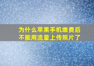 为什么苹果手机缴费后不能用流量上传照片了