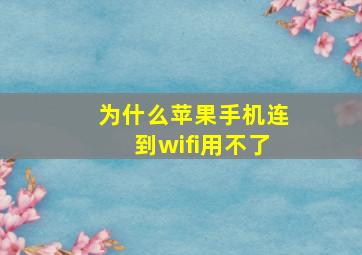 为什么苹果手机连到wifi用不了