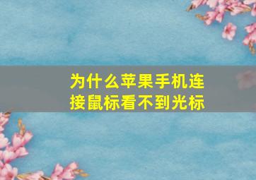 为什么苹果手机连接鼠标看不到光标