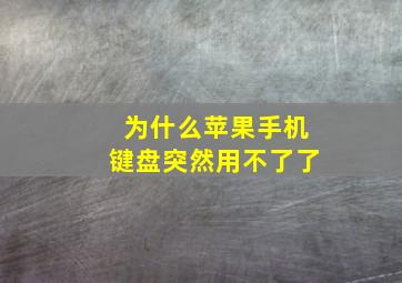 为什么苹果手机键盘突然用不了了