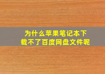 为什么苹果笔记本下载不了百度网盘文件呢