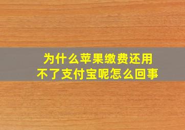 为什么苹果缴费还用不了支付宝呢怎么回事