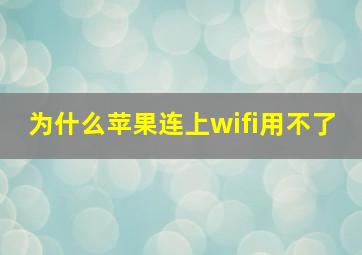 为什么苹果连上wifi用不了