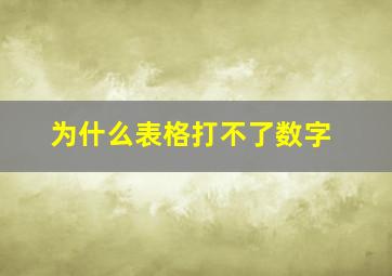 为什么表格打不了数字