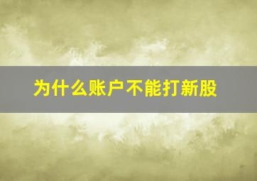 为什么账户不能打新股