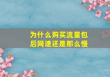 为什么购买流量包后网速还是那么慢