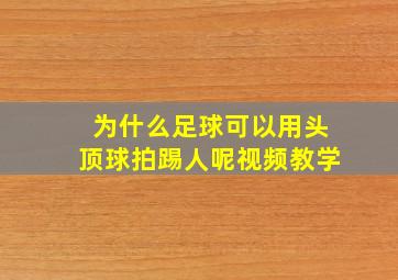 为什么足球可以用头顶球拍踢人呢视频教学