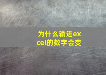 为什么输进excel的数字会变