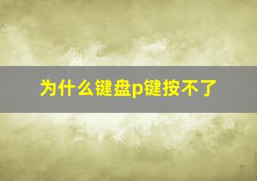 为什么键盘p键按不了