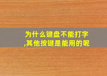 为什么键盘不能打字,其他按键是能用的呢