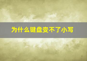 为什么键盘变不了小写