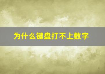 为什么键盘打不上数字