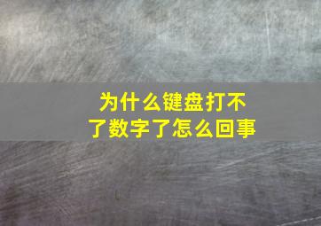 为什么键盘打不了数字了怎么回事