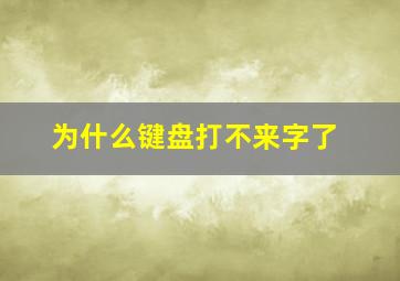 为什么键盘打不来字了