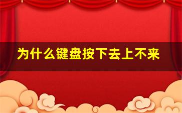 为什么键盘按下去上不来