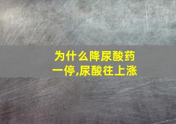 为什么降尿酸药一停,尿酸往上涨