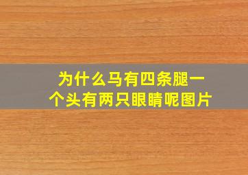 为什么马有四条腿一个头有两只眼睛呢图片