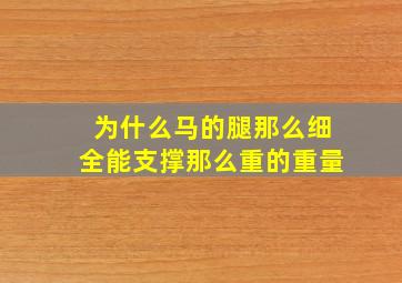 为什么马的腿那么细全能支撑那么重的重量