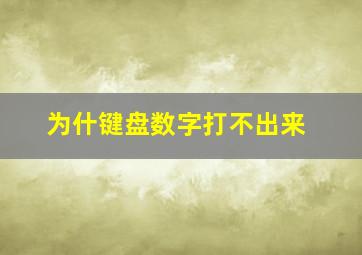 为什键盘数字打不出来