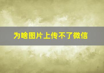 为啥图片上传不了微信