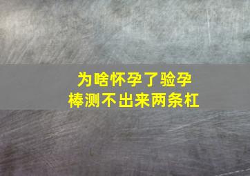 为啥怀孕了验孕棒测不出来两条杠