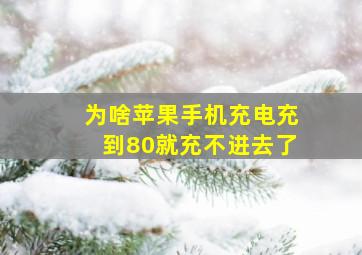 为啥苹果手机充电充到80就充不进去了