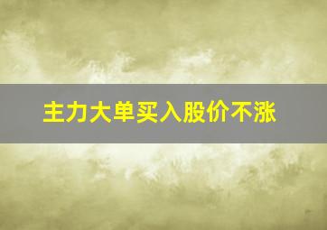 主力大单买入股价不涨